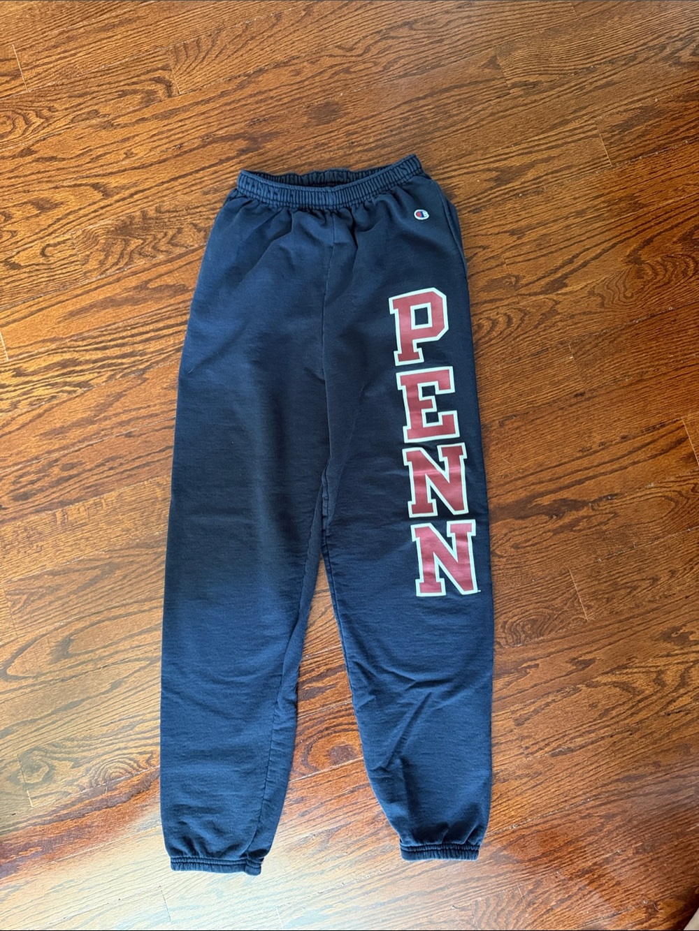 Champion PENN Sweatpants